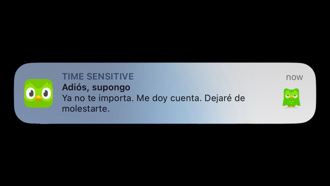 Descubrí que estaba en una relación tóxica... con Duolingo