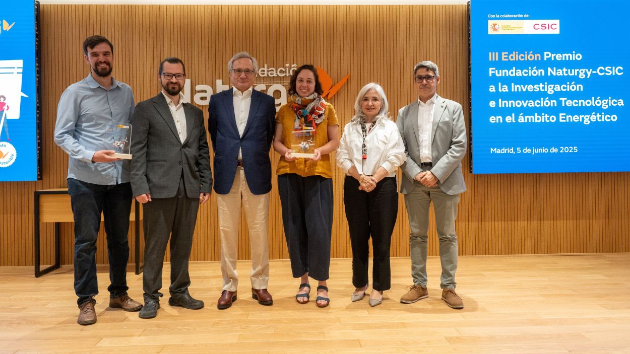 Ganadores de la III edición del premio convocado por la Fundación Naturgy y CSIC