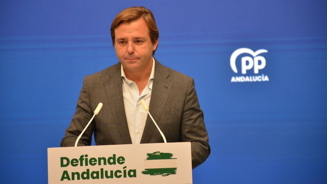 Secretario general del PP-A, Antonio Repullo
