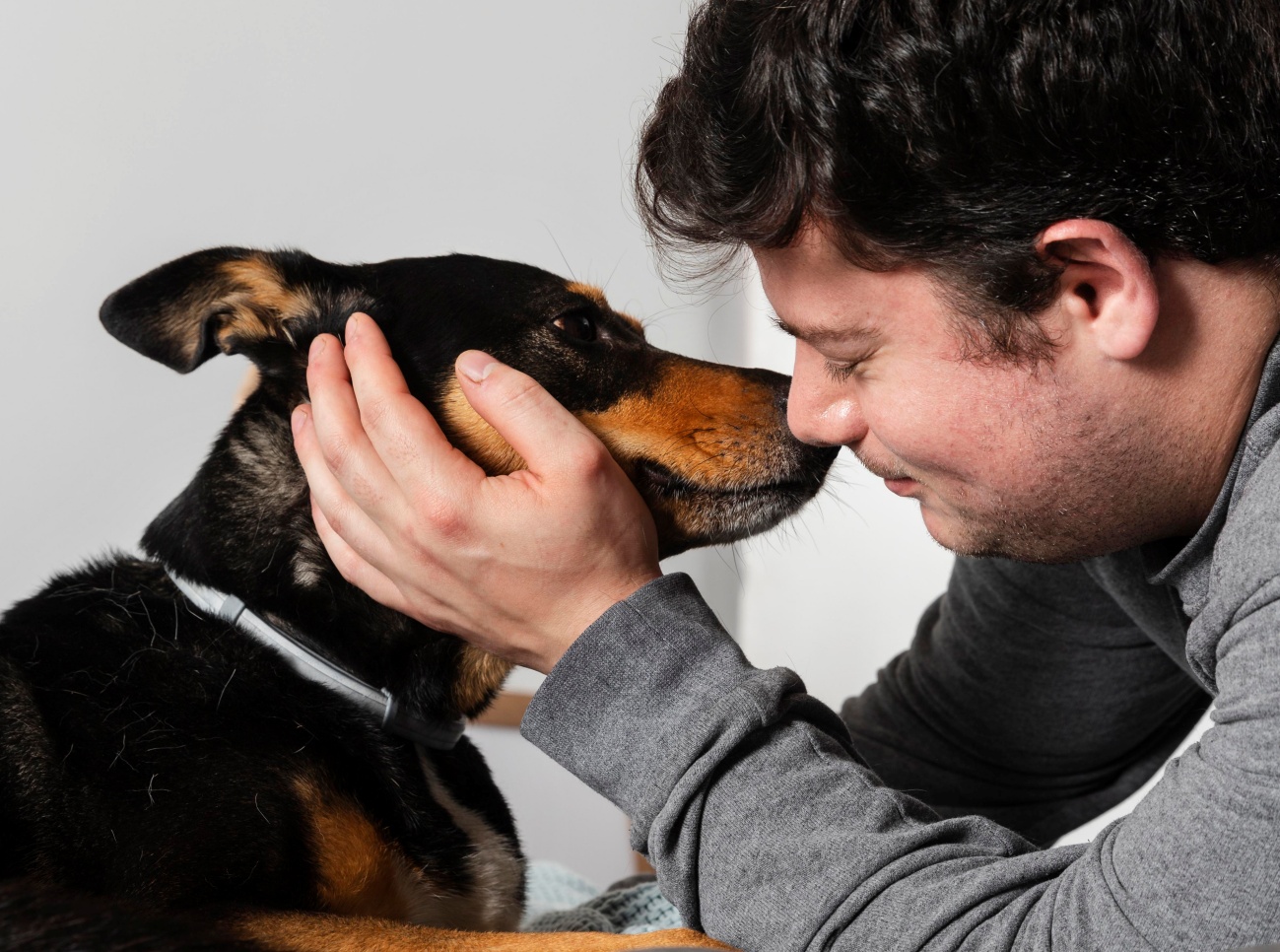 Los perros ayudan a sobrellevar el dolor crónico, según un estudio de la UAB. 