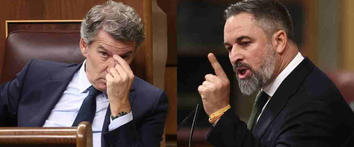 El “momentum antipolítico” amplía la brecha de Abascal sobre Feijóo El “momentum antipolítico” amplía la brecha de Abascal sobre Feijóo