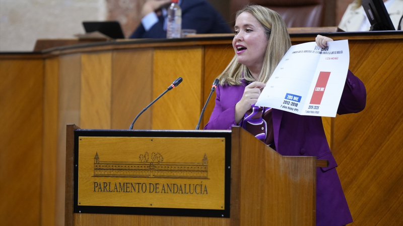 Diputada del PSOE-A, Alicia Murillo Diputada del PSOE-A, Alicia Murillo