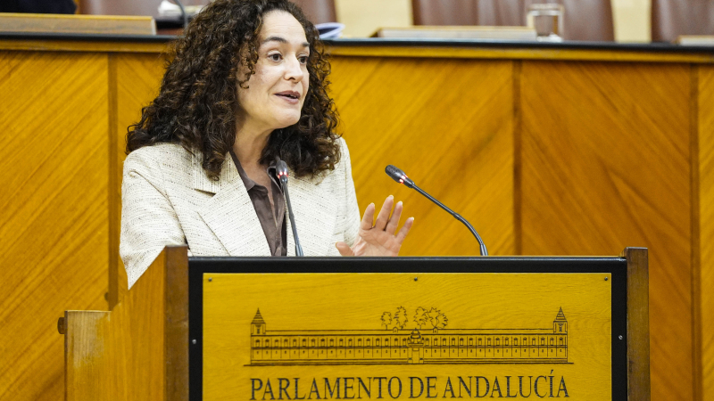 Portavoz de Por Andalucía, Inma Nieto Portavoz de Por Andalucía, Inma Nieto