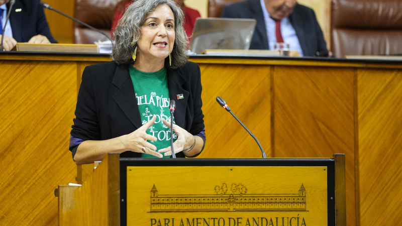 Diputada de Adelante Andalucía, Begoña Iza Diputada de Adelante Andalucía, Begoña Iza