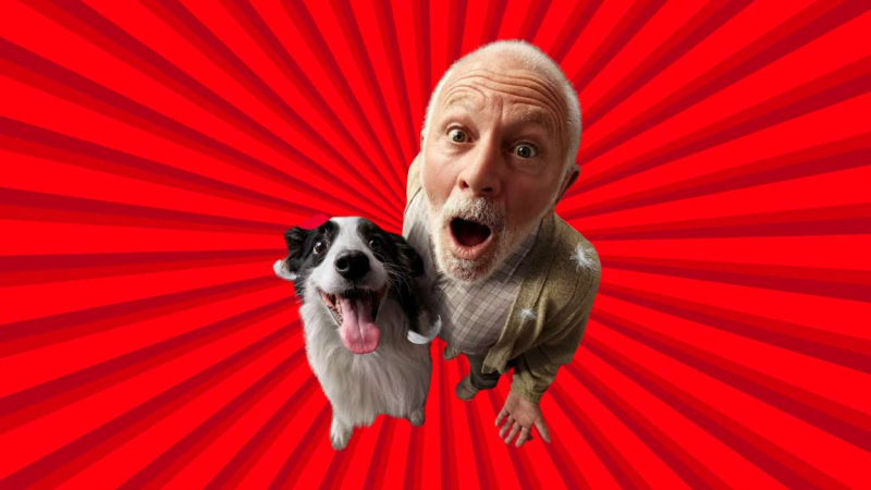 Roborock por el Black Friday Roborock por el Black Friday