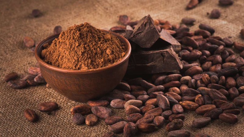 Para el experimento algunos bebieron una taza de cacao rica en flavanoles Para el experimento algunos bebieron una taza de cacao rica en flavanoles