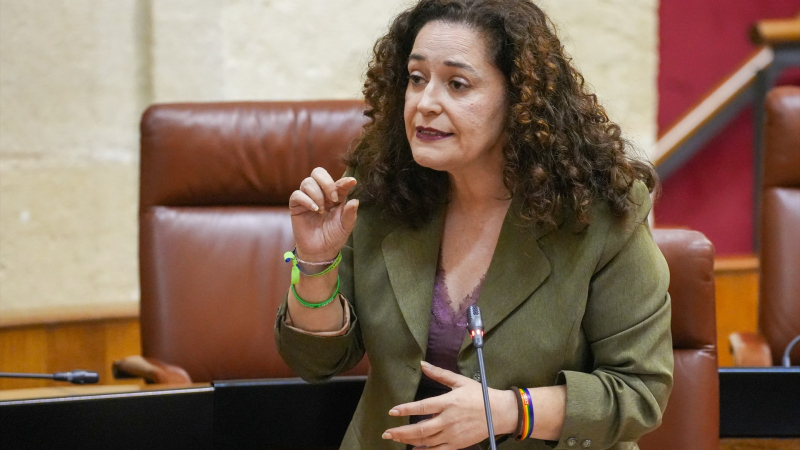 Portavoz Por Andalucía, Inma Nieto