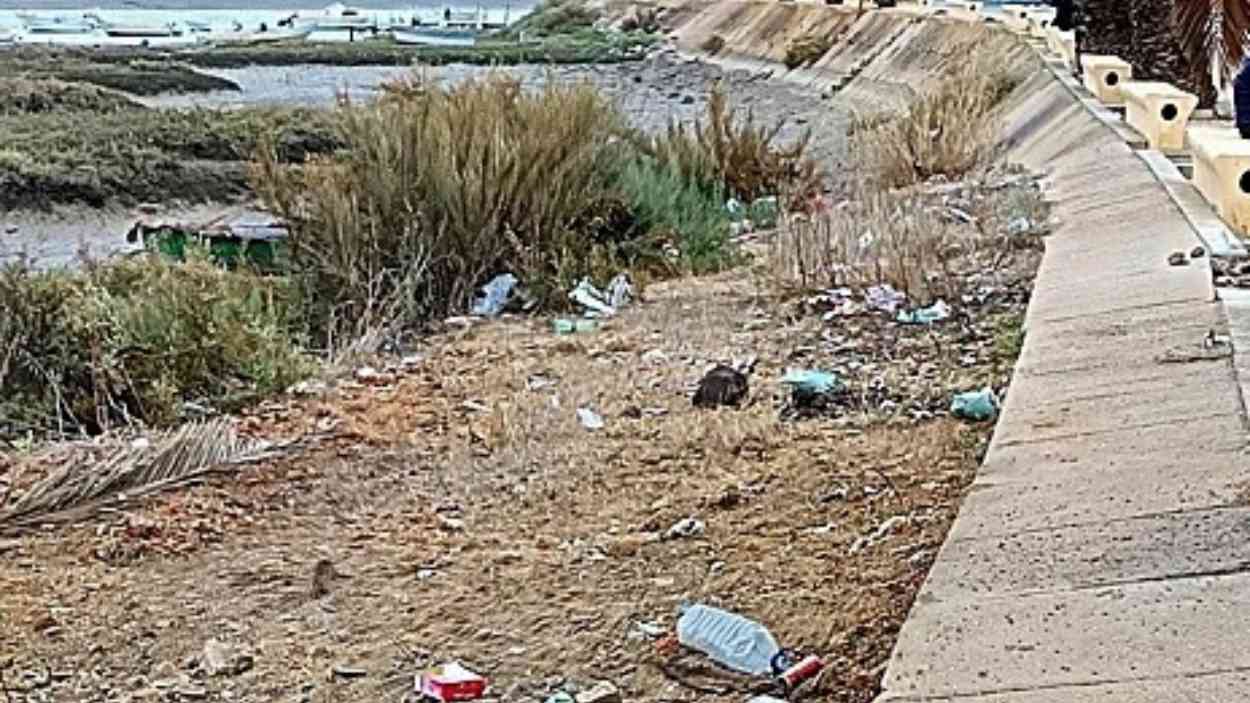Residuos en el Paraje Natural Marismas de Isla Cristina