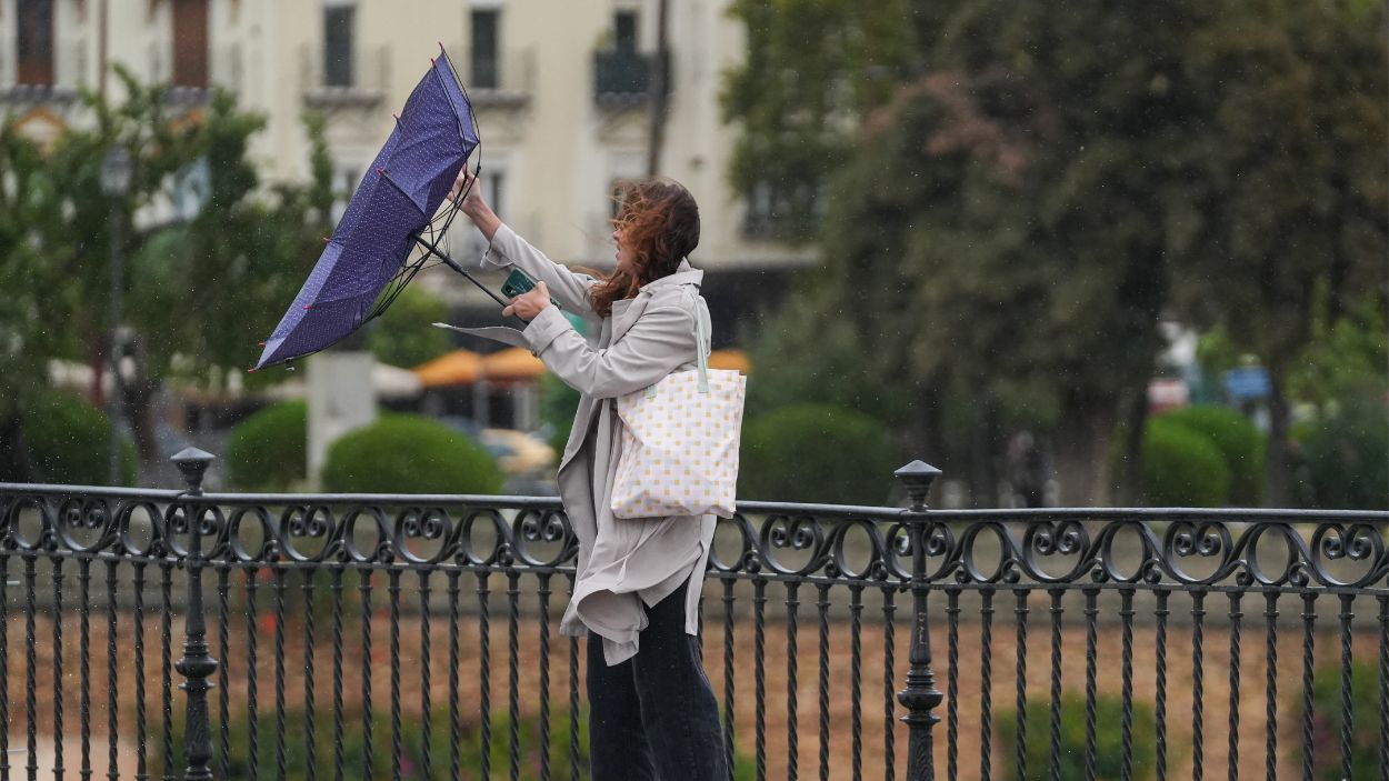 Una mujer con paraguas durante las lluvias registradas en noviembre en Sevilla. EP.