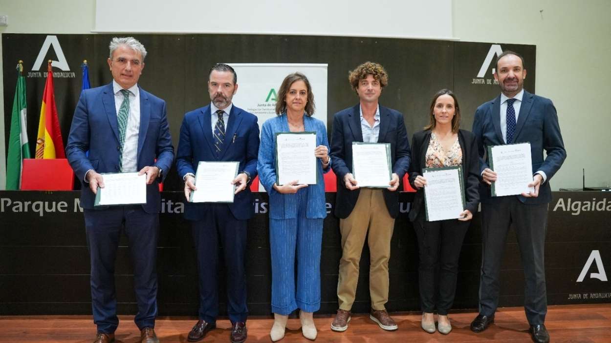 Andalucía lanza el mayor proyecto de carbono azul de Europa para capturar CO₂ en la Bahía de Cádiz