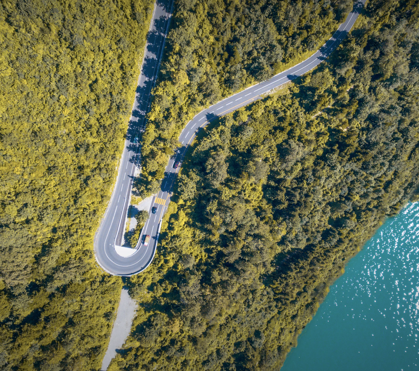 Proteger los bosques para cuidar la salud