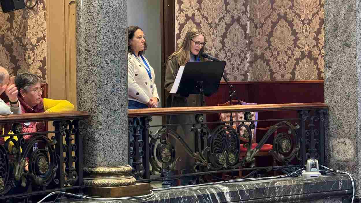 Asociaciones de víctimas de la dana intervienen en el pleno del Ayuntamiento de València. Europa Press