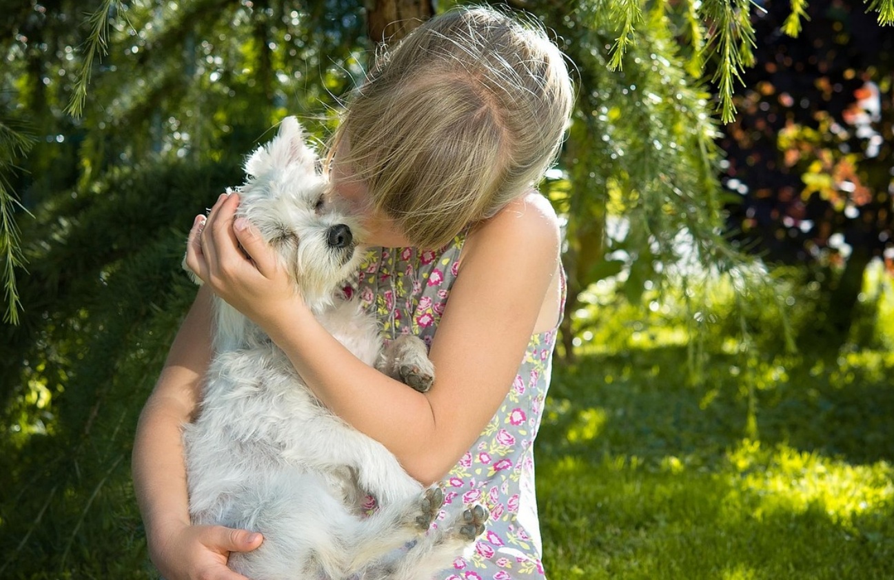 Crecer con un perro tiene importantes beneficios para los niños. (Foto: Pixabay)