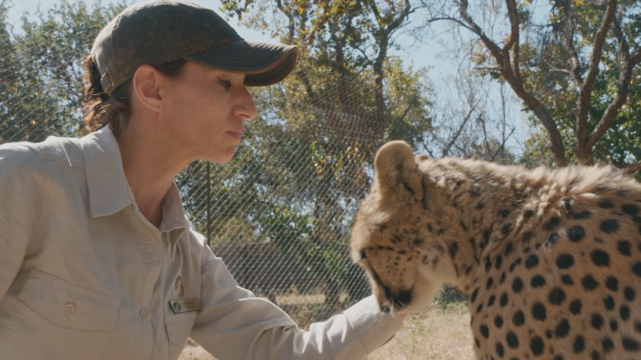Fabiola Quesada en 'Dra. Fabiola Jones'