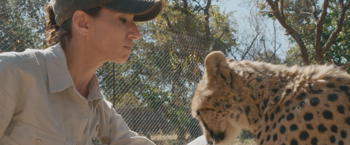 ‘Dra. Fabiola Jones’ será la nueva rival de ‘GH 20’