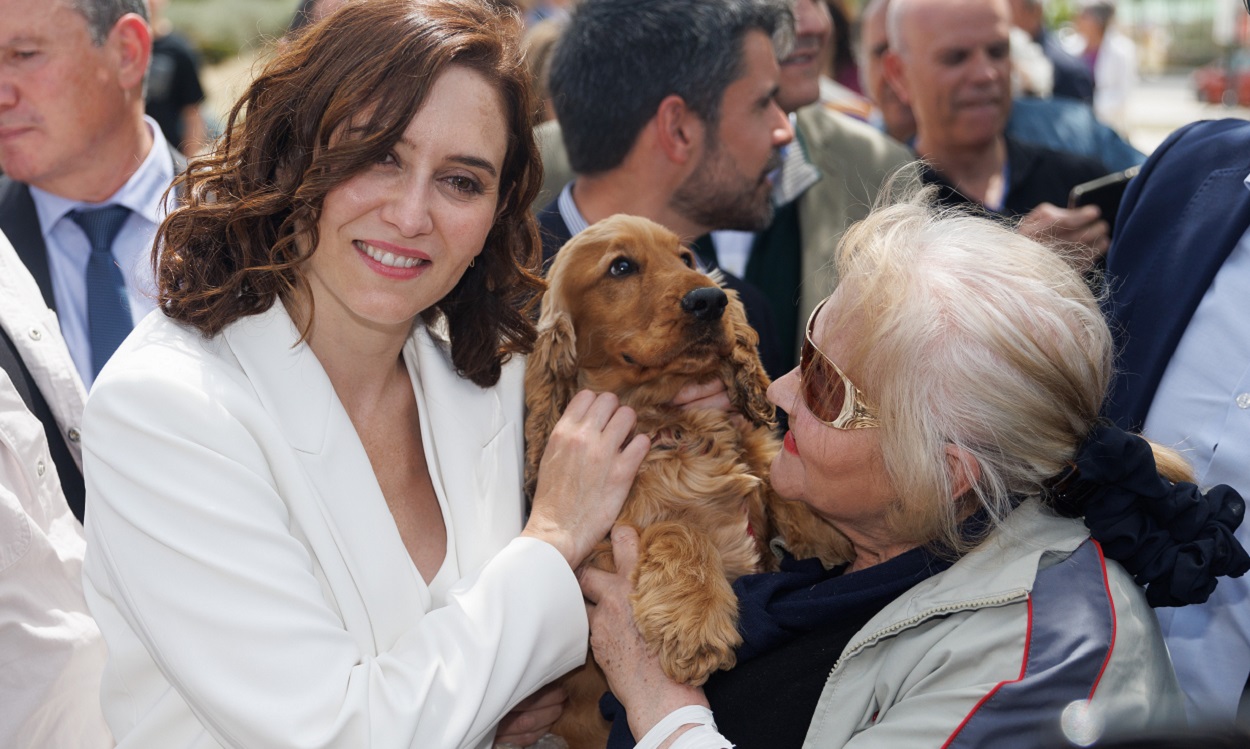 La presidenta de la Comunidad de Madrid, Isabel Díaz Ayuso. EP/Archivo.