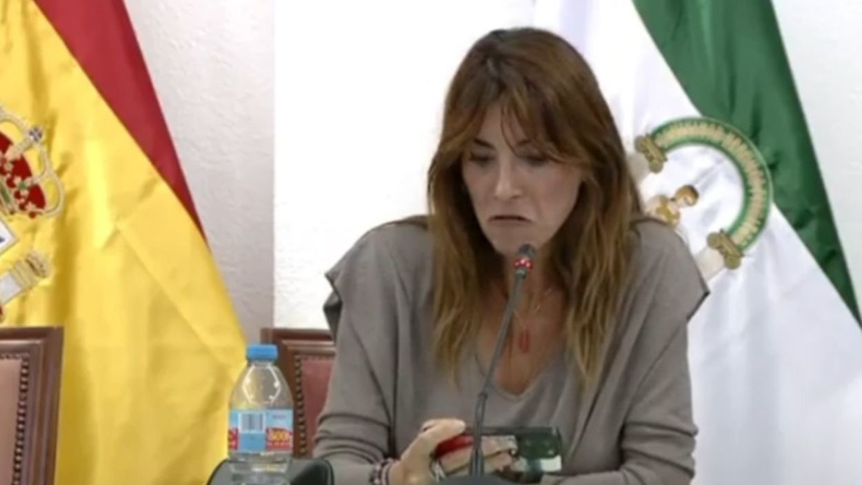 La alcaldesa de Mijas (PP), Ana Carmen Mata, durante el pleno de la discordia.