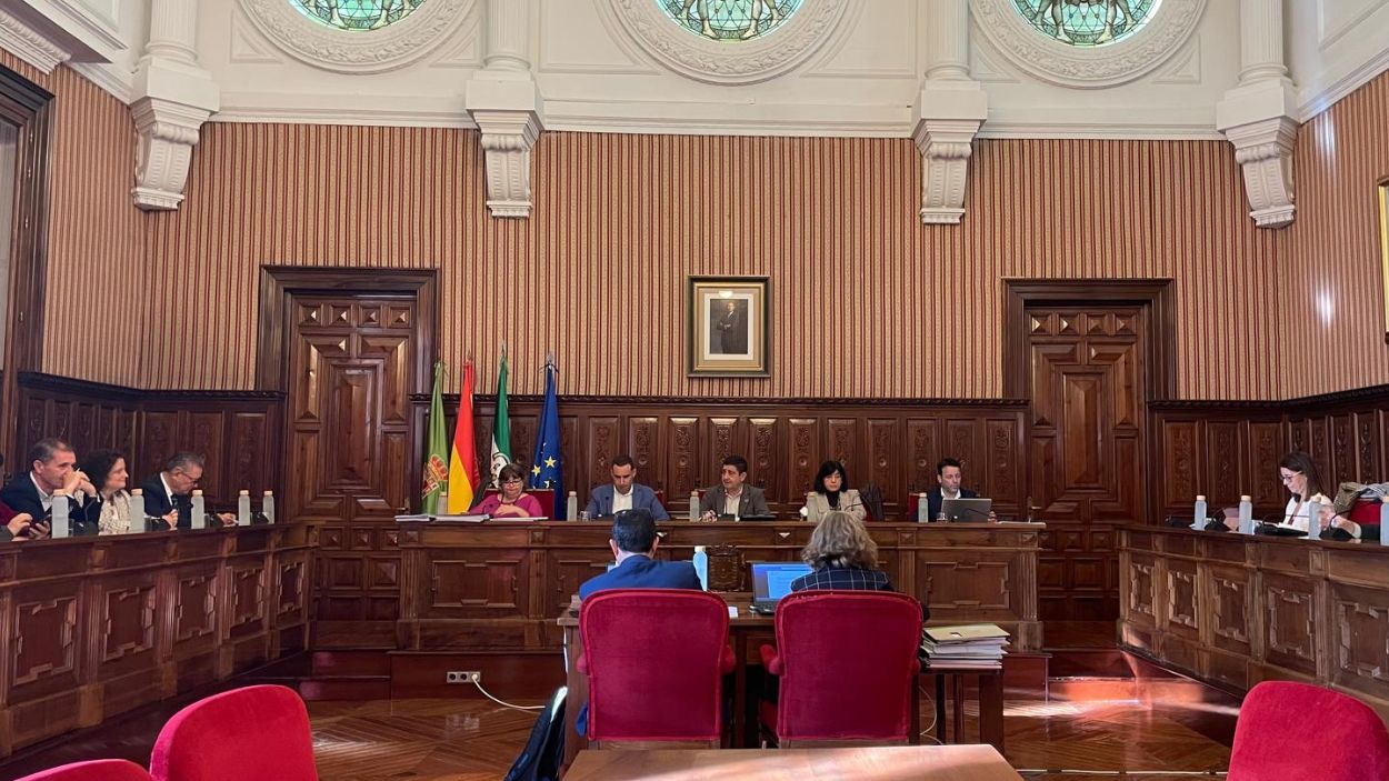 Celebración del pleno de la Diputación de Jaén