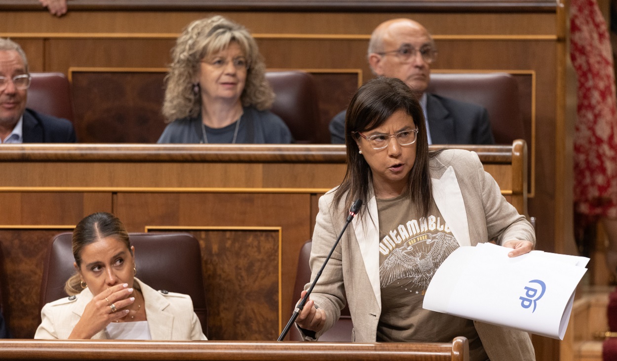 La diputada Ana Vázquez. EP