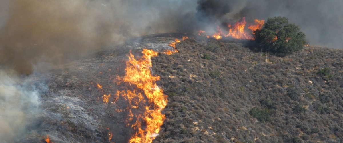 “La energía circular puede transformar el futuro rural y medioambiental”