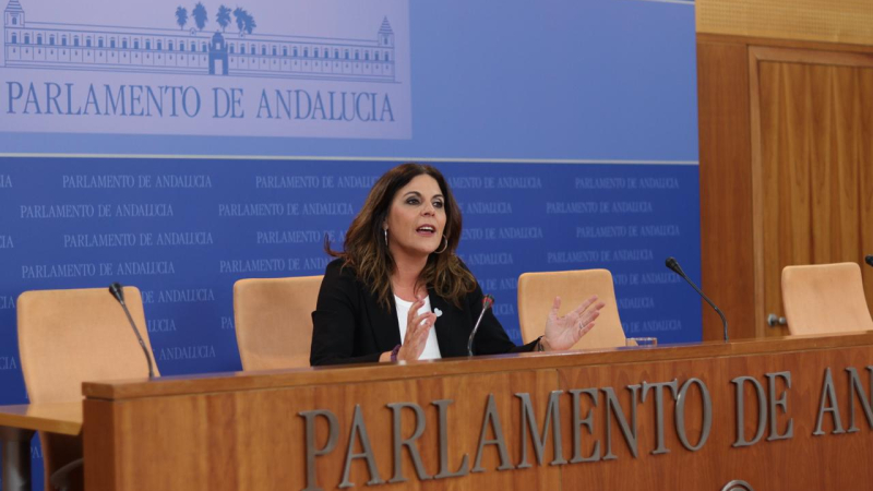 Portavoz adjunta del PSOE-A, Ángeles Férriz Portavoz adjunta del PSOE-A, Ángeles Férriz