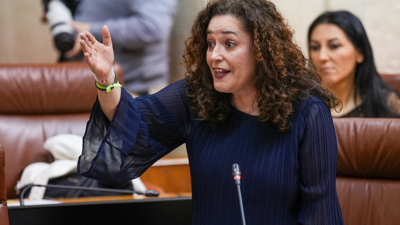 Portavoz de Por Andalucía, Inma Nieto / EP