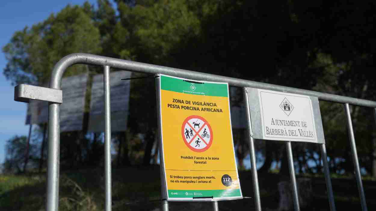 Refuerzo de espacios naturales para contener la peste porcina africana. Europa Press