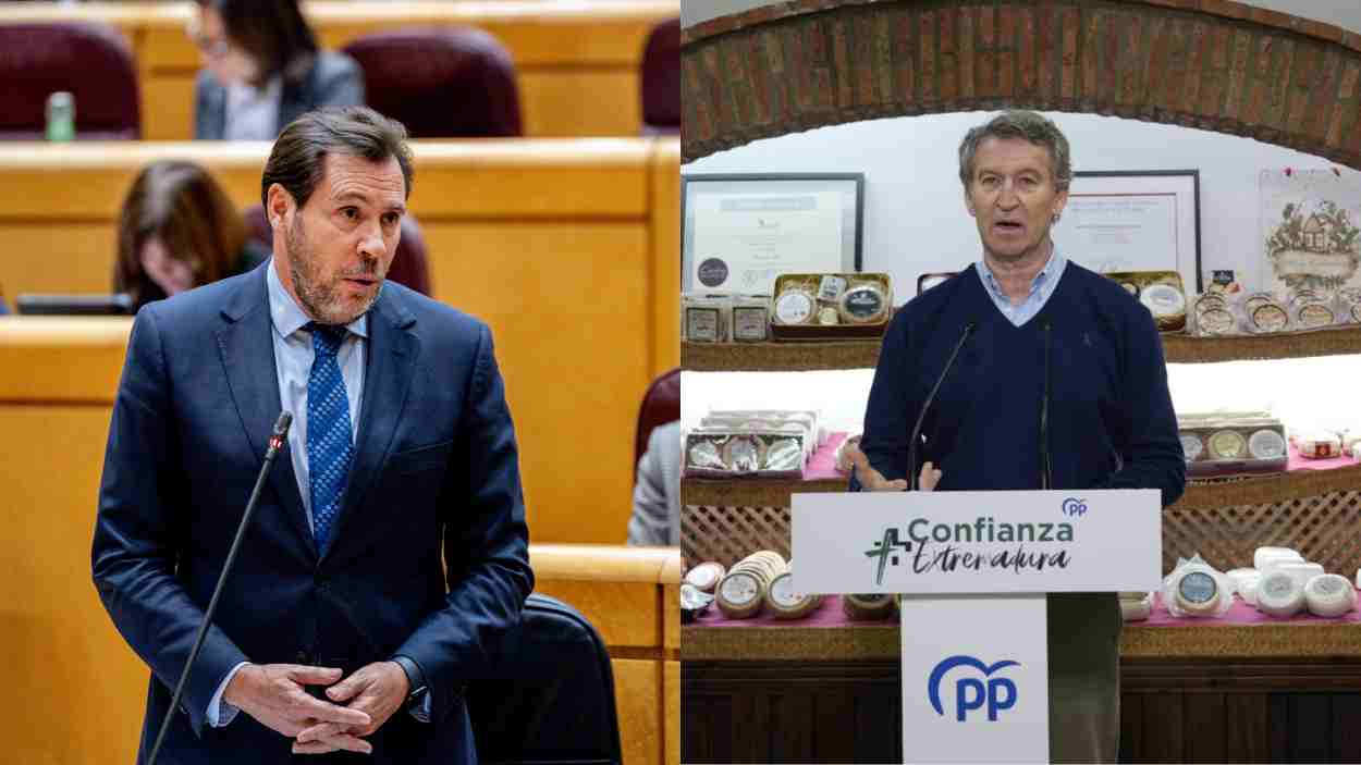 El ministro de Transportes y Movilidad Sostenible, Óscar Puente, y el presidente del PP, Alberto Núñez Feijóo