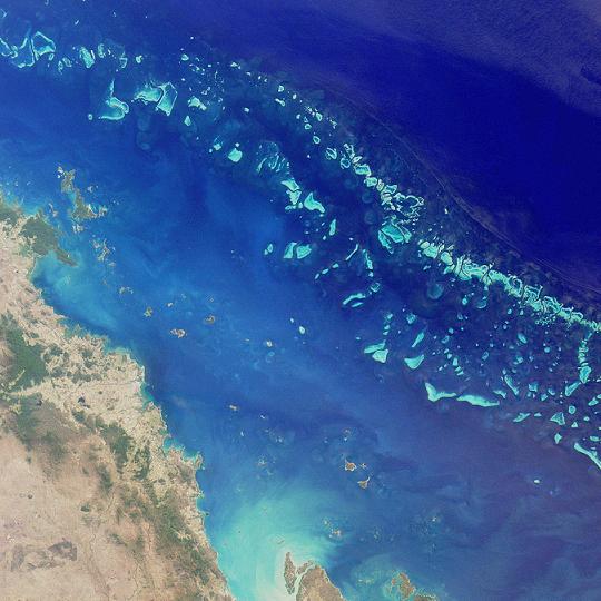 ¿Ha muerto la Gran Barrera de Coral?