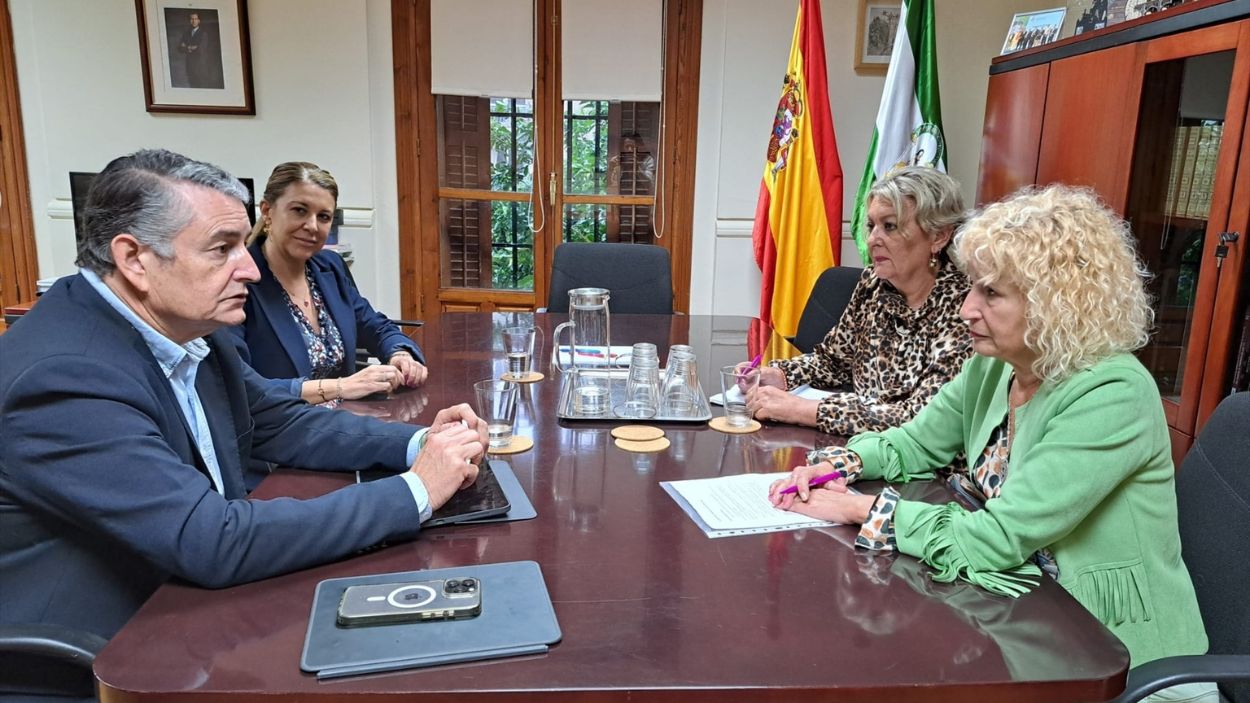 Encuentro entre el consejero de Sanidad de la Junta de Andalucía, Antonio Sanz, con la presidenta de Amama, Ángela Claverol / EP