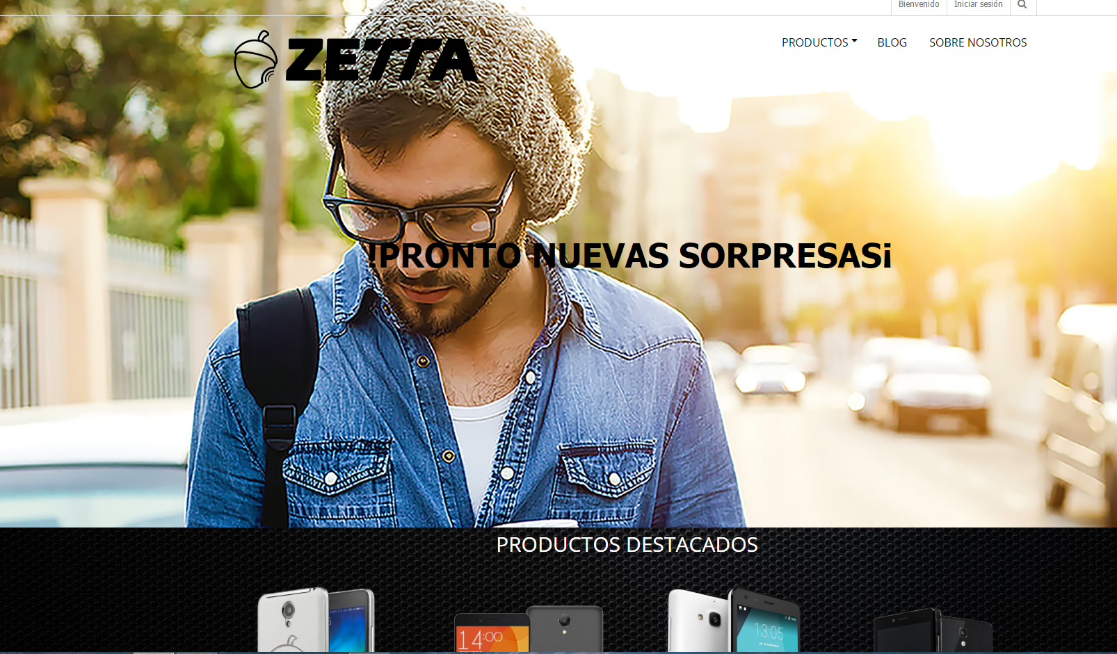 Página web de Zetta