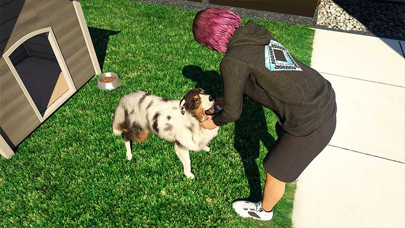 Un perro en A Safehouse in the Hills de GTA Online Un perro en A Safehouse in the Hills de GTA Online