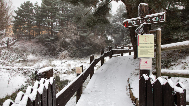 Un camino nevado en el Puerto de Navacerrada, a 2 de diciembre de 2025, en Madrid (España).Rafael Bastante / EP Un camino nevado en el Puerto de Navacerrada, a 2 de diciembre de 2025, en Madrid (España).Rafael Bastante / EP