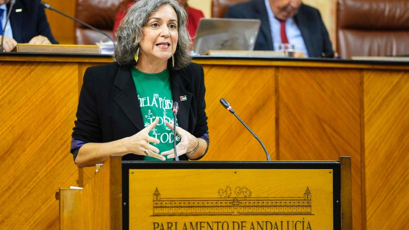 Parlamentaria Adelante Andalucía, Begoña Iza / EP
