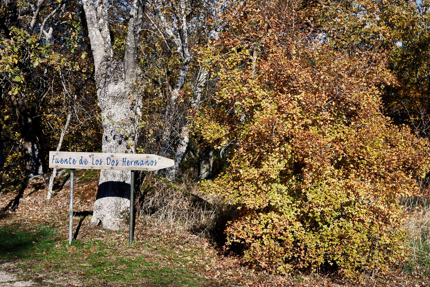 Sendero hacia la Ermita de la Virgen de Gracia y la Silla de Felipe II