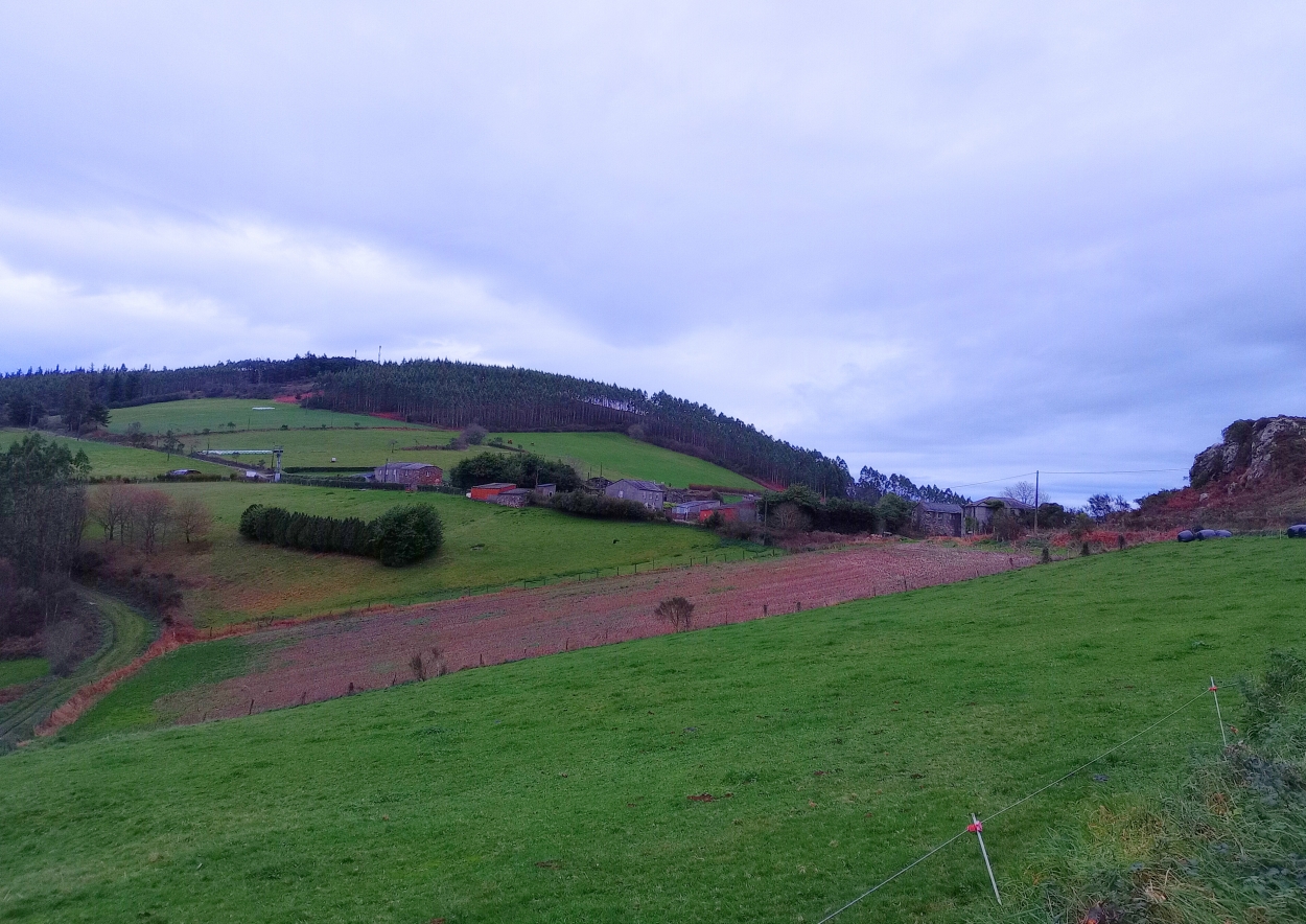 Según Adega los perjuicios de este proyecto eólico son muy importantes desde el punto de vista medioambiental (Foto: ADEGA).