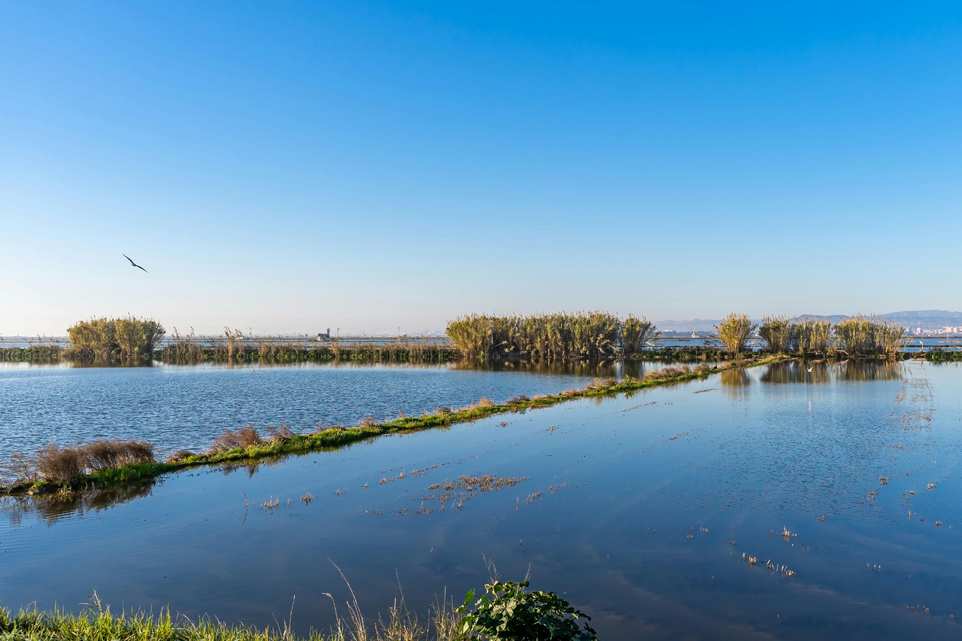 Parque Natural de la Albufera, en Valencia