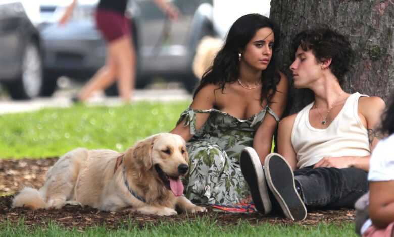 1641518754_mendes-cabello-walking-dog-112-780x470-1.jpeg