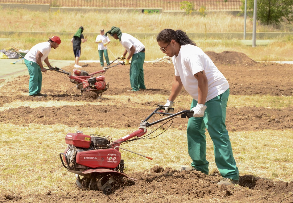 Más de 150 proyectos de toda España se benefician de esta convocatoria. 