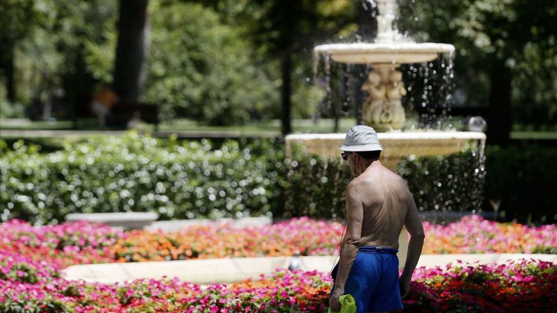 Un hombre pasea por el parque del Retiro, en Madrid Un hombre pasea por el parque del Retiro, en Madrid