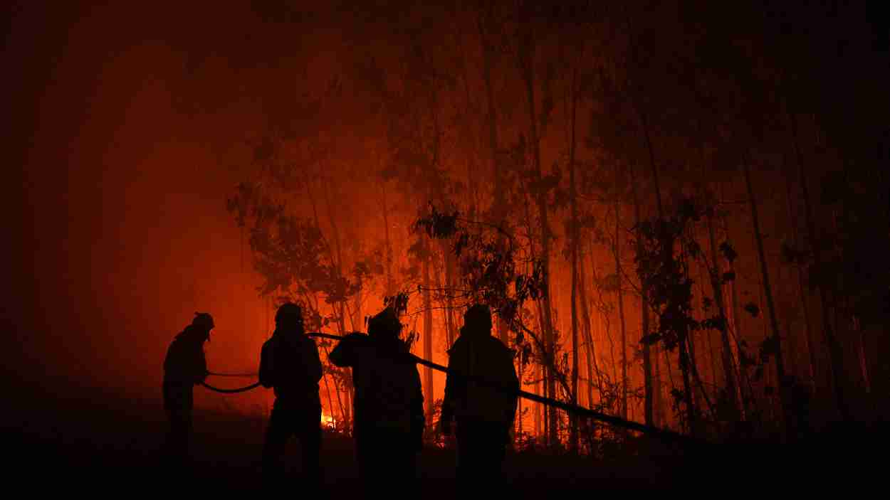 Los incendios forestales arrasan miles de hectáreas durante el verano