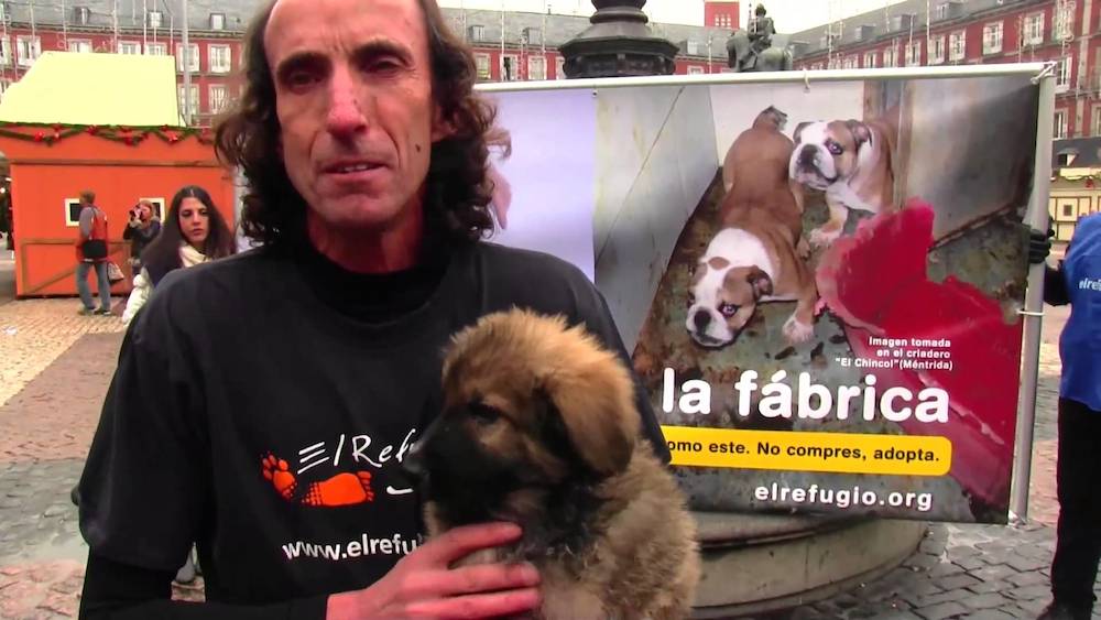 Ignacio Paunero, presidente de la protectora El Refugio, que denunció los hechos.