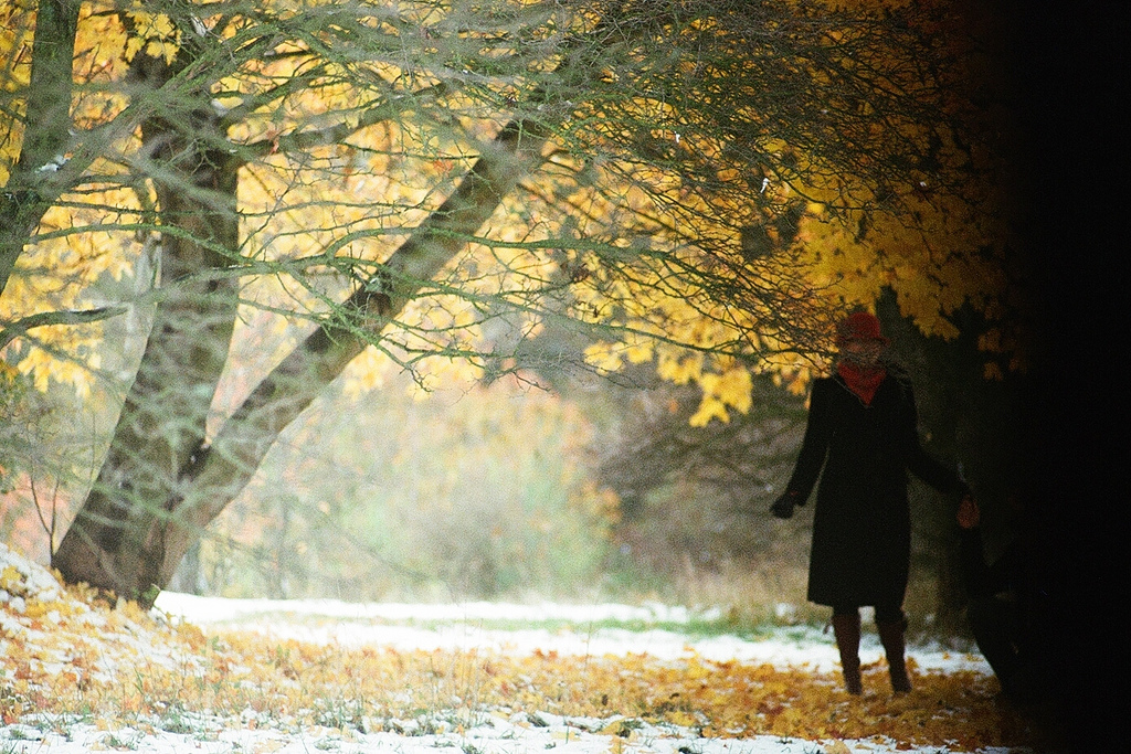 Agradecido otoño, desagradecida ansiedad