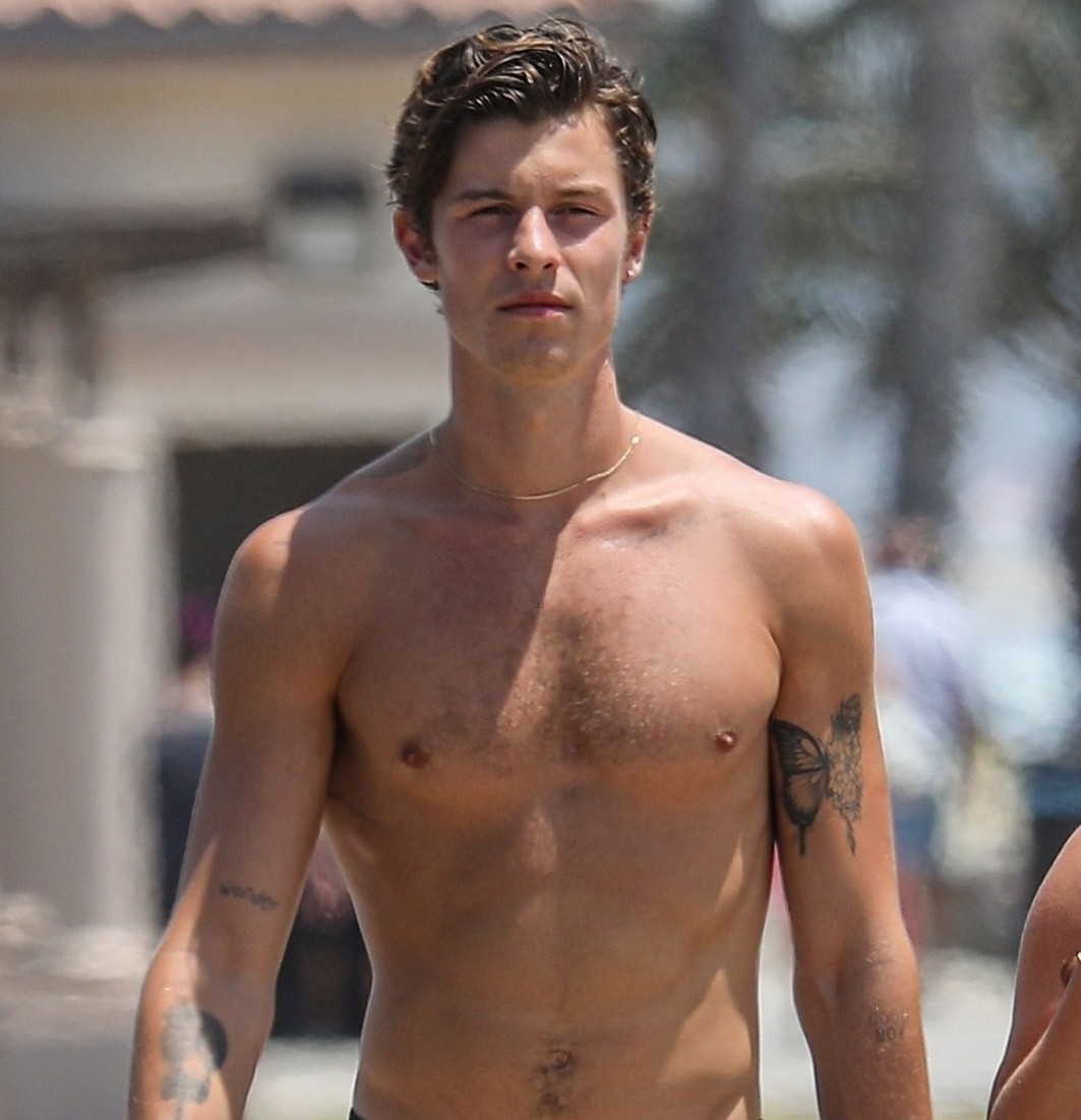 shawn-mendes-goes-shirtless-for-walk-with-friends-02.jpeg
