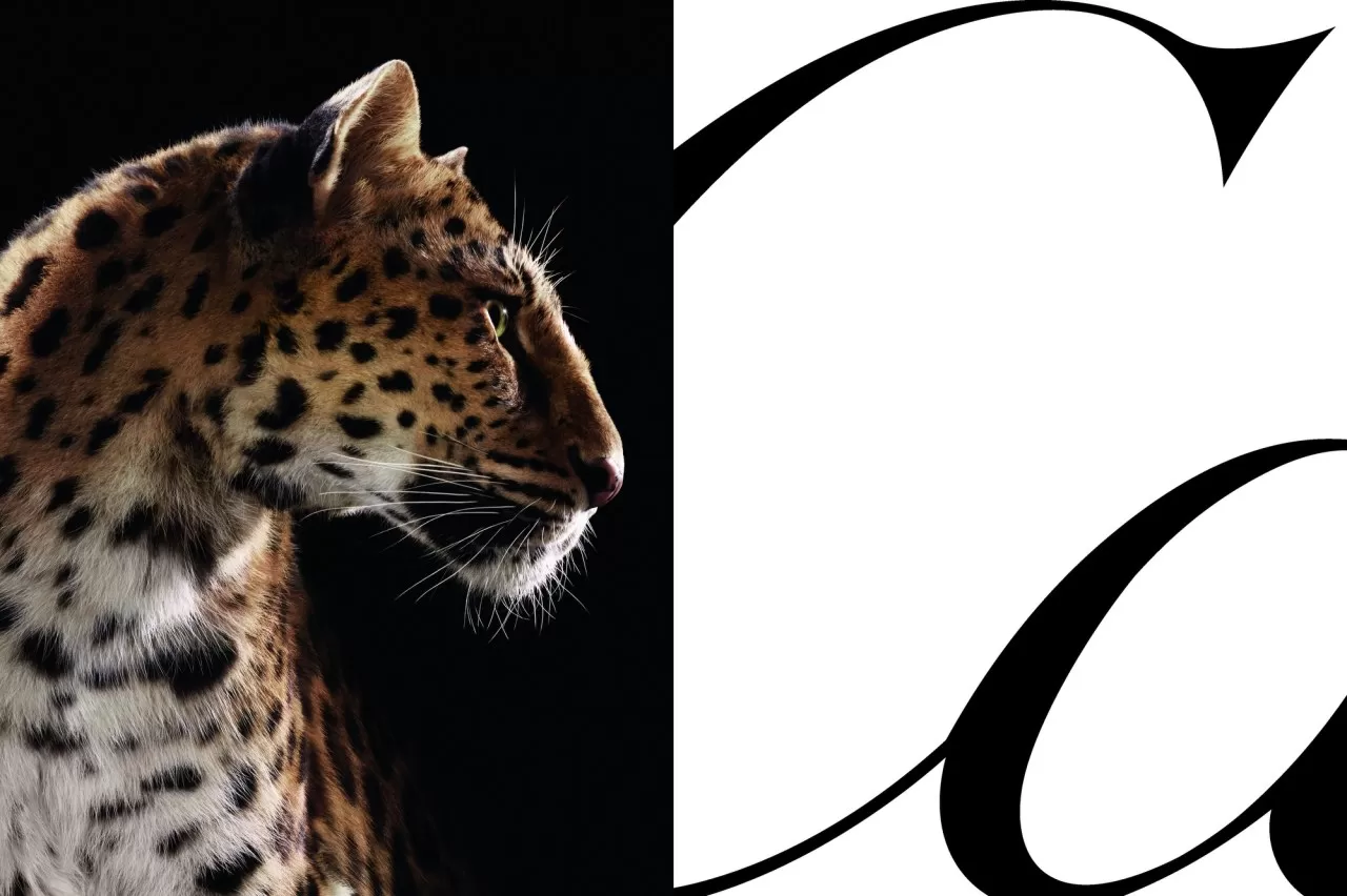 cartier-leopard-1-10926.webp