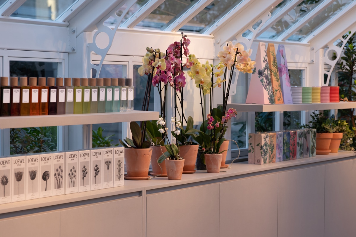 12_2_AM_LoeweGreenhouseMadrid_Final_IMG_5905-1.jpeg