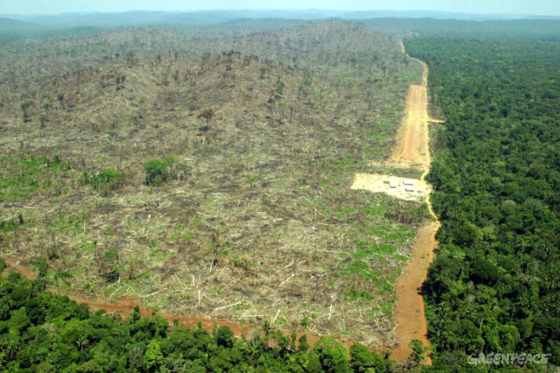 Nigeria perdió la mitad de sus árboles entre el 2000 y el 2005, luego la cosa empeora...
