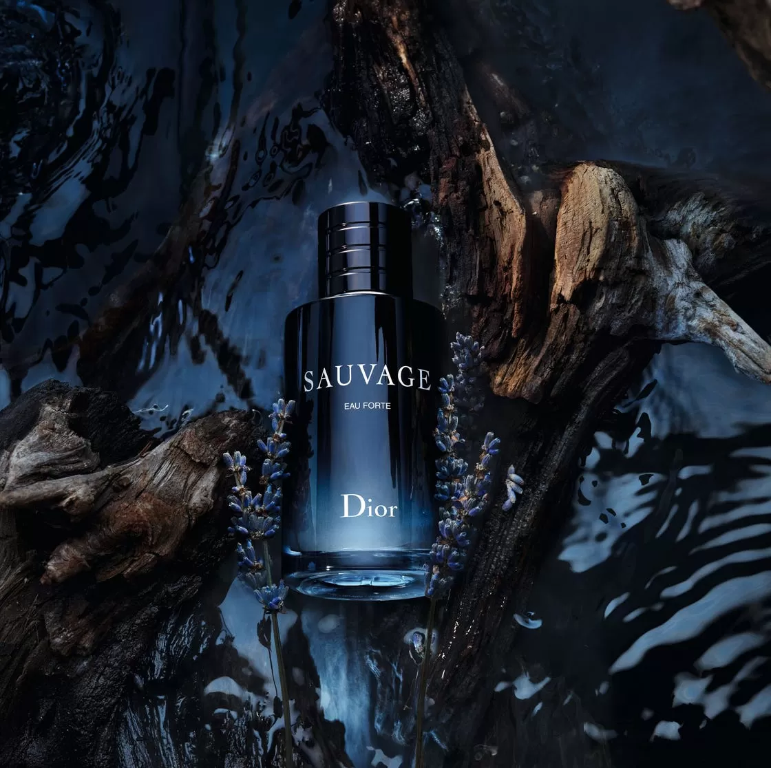 sauvage-dior-xmagcover-190824.webp