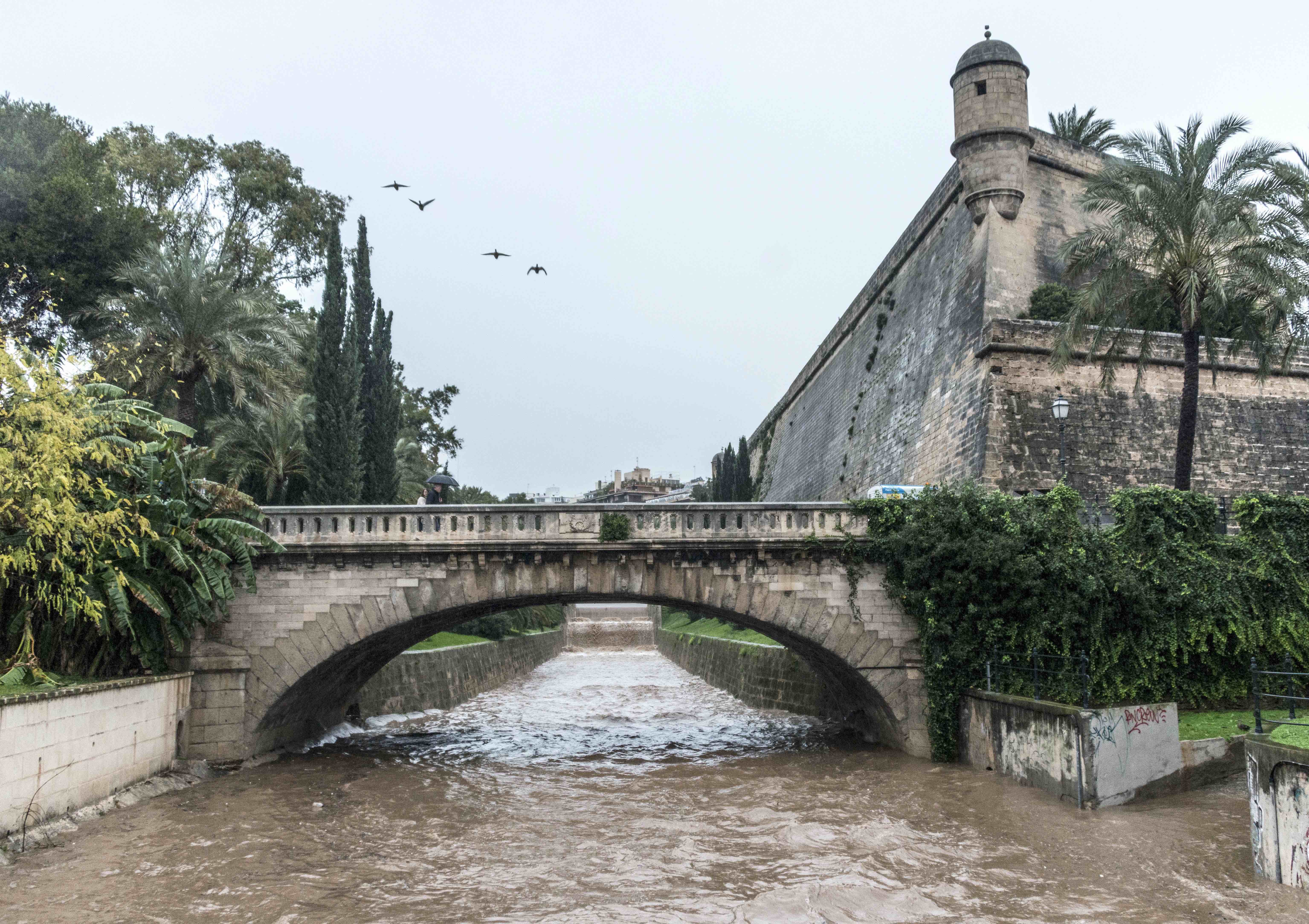 La Riera de Palma,  casi llena de agua de la lluvia