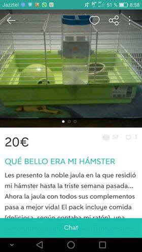 wallapuff hamster portada wallapuff hamster portada
